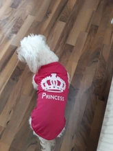 Chihuahua Clothing Pet-Vest Dog-Coat Puppy T-Shirt Small Dogs Princess-Printed Cotton