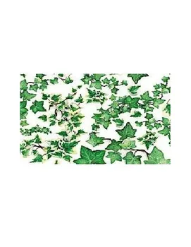 DECOUPAGE PAPER NAPKINS WITH SIZE 50X70 CM 85 GR BRAND FONTORPIN MODEL IVY
DECOUPAGE PAPER NAPKINS WITH SIZE 50X70 CM 85 GR BRAND FONTORPIN MODEL IVY