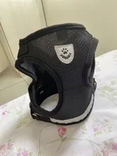 Dog Cat Harness Reflective Vest Pet Chest Strap Mesh Breathable Dog Harness And Walking