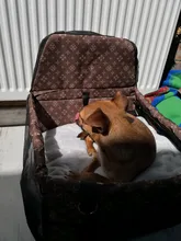 Para las compañías aéreas Protector para asiento de coche para perros llevar para perros estera de gatos manta atrás hamaca Protector transportin de asiento impermeable bolsa