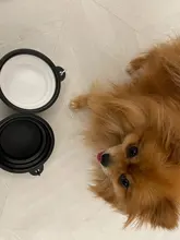 Update travel folding silicone pet bowl slow food water feeding BPA free plate for