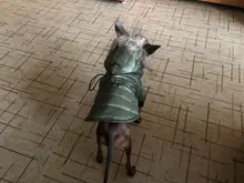 Hoodie Clothing Pet-Jacket Dog-Coat Small Dogs Chihuahua For Yorkshire Winter Cotton