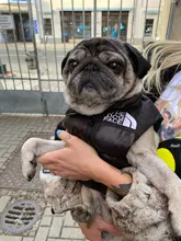 Dog Coat Jacket Pet-Dog-Clothes Down French-Bulldog Chihuahua Winter Fashion Small Medium-Sized