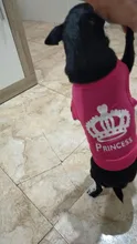 Ropa para Perro barata, adorable chaleco para Perro, camiseta para mascotas, disfraz para perros, Ropa de algodón para cachorros, trajes para perros pequeños