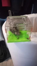 Nido de hormiga con área de alimentación, granja acrílica de hormigas, hormiga insecto, casa de hormigas avanzada