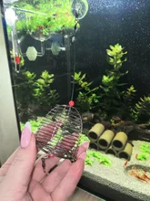 Bait-Feeder Fishing-Lure Aquarium Shrimp-Dry Food-Feeding Cage Crystal Small 1 1PC Stainless-Steel