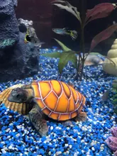 Aquarium Ornament Turtle-Decoration Polyresin Artificial-Fish-Tank 1pcs Supply Stylish