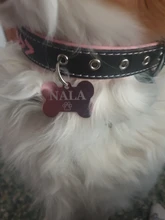 2 unids/lote de etiquetas de identificación de perro personalizadas, etiqueta de Mascota de aluminio para gatito, gato, perros, Collar, puede elegir el nombre de fuente, Tel sexo (en la parte delantera y trasera)