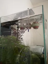 Tanque de vidrio de 6mm, 8mm, 10mm, 12mm, 15mm de grosor, monitor de temperatura en forma de U para acuario