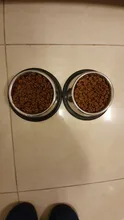 4 tamaños perro gato cuencos de acero inoxidable huella de viajes de alimentación alimentador tazón de agua para gatos perros mascotas cachorro de alimentos al aire libre plato 2020