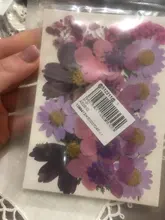 1 paquete Real secada de La Flor seca de las plantas para bricolaje molde Molde de resina rellenos de resina colgante collar joyería de uñas de arte UV Expoxy flor