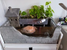 Lámparas de temperatura con ajuste para acuario, lámparas de temperatura con ajuste de UVA y uvb de 25W con calor para Tortuga, solarium de calcio para mascotas