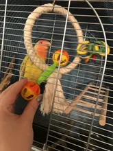 Pájaro loro hueco doble-cabeza bola sonajero morder masticar interactivo juguete