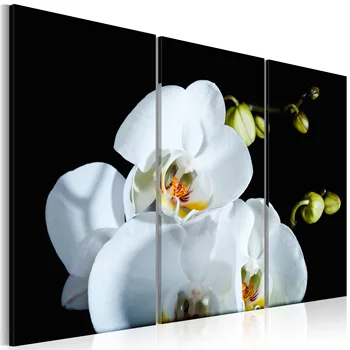 Table-Orchid snow-white-60x40
Table-Orchid snow-white-60x40