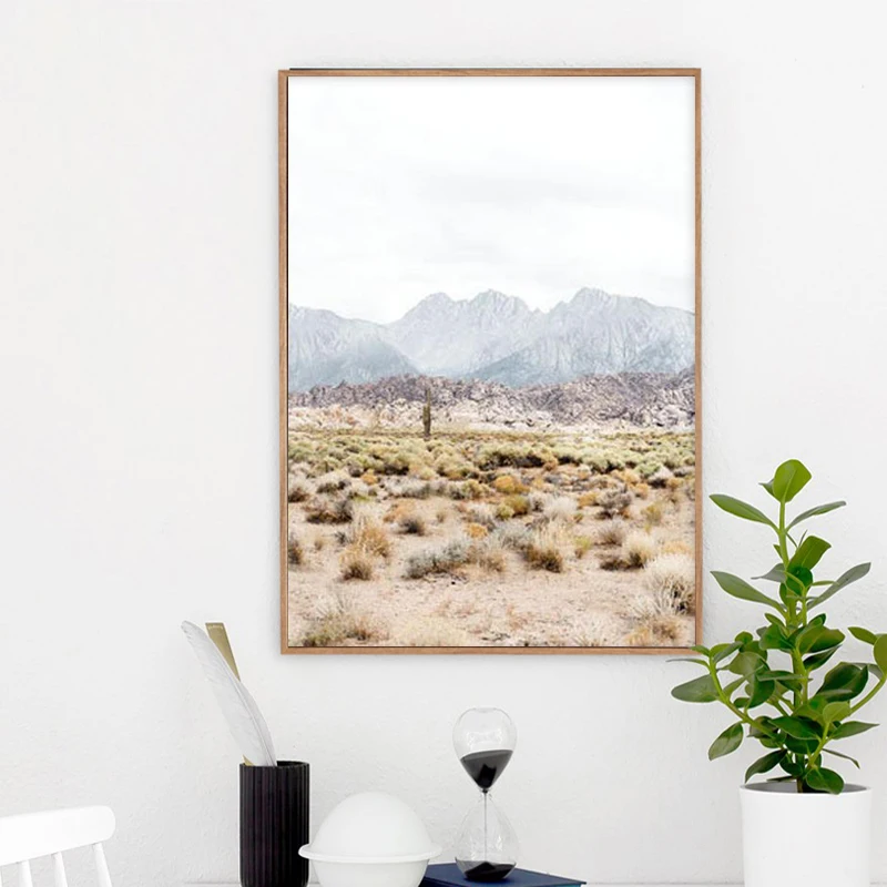 Desert Photography Canvas Prints