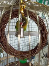 Uds 15cm vid columpio escalada mastica jaula de mordedura de mimbre anillo loro y ave mascota juguete accesorios para jaulas de pájaros decoración para mascotas suministros