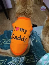 Ropa de gato para primavera y verano, chaleco estampado para mascotas a la moda, ropa divertida para gatos, 11C40S3