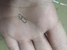 Broches de pesca de acero inoxidable, Clips de cierre, accesorios de conector de seguridad, aparejos para señuelos, ganchos, 500 Uds.