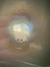 Nextvance de etiqueta de perro foto llavero con mensaje de acero inoxidable grabado fotografía llavero para perro y amor la gente perro Keepsak