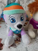 20cm Peluche pata patrulla perro de Peluche mariscal Everest rastreador Chase Skye de Peluche muñeca animé de Peluche juguetes de Peluche juguete para regalo