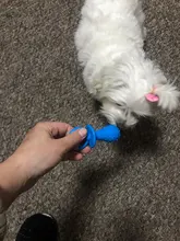 Chupete de goma Gato perros y juguetes masticables para cachorros