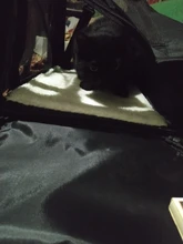 Backpack Carriers-Bag Transport-Bag Travel Airline-Approved Pet-Dog Cats Breathable