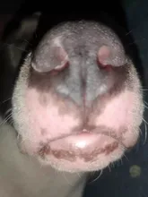 Pulsera ajustable con sistema Solar de piedra Natural, pulsera con cuentas de galaxia del universo, ocho planetas, regalo para novia