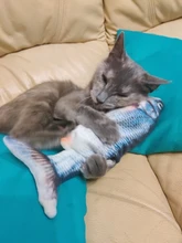 Gato cargador USB juguete interactivo de disquete pez gato realista juguete de gatos domésticos masticar morder juguetes suministros para mascotas gatos perro de juguete