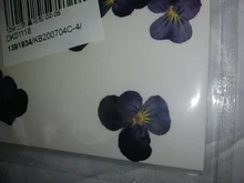 1 paquete Real secada de La Flor seca de las plantas para bricolaje molde Molde de resina rellenos de resina colgante collar joyería de uñas de arte UV Expoxy flor