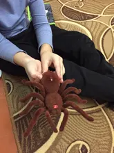 Lámpara de araña de peluche con Control remoto, juguete de regalo para chico