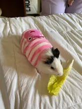 Ropa de Gato cálida para gatos, ropa de primavera y Gato, de lana suave, gatito, gatito, abrigos para gato, chaqueta, disfraces