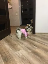 Cat Dog Hoodie Jacket Pet-Apparel Puppy-Chihuahau Pug Pure-Design New Autumn Perro Ropa