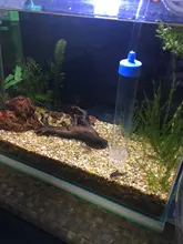 1.8m Siphon for Aquarium Fish Vacuum Gravel Water Filter Cleaner Siphon Pump Cleaner