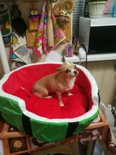 1pc Cute Kennel House Warm Cotton Watermelon Modeling Dog Bed Mat Sofa Pet Cat Bed