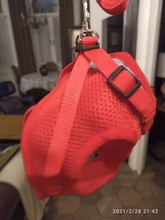 Dog Cat Harness Reflective Vest Pet Chest Strap Mesh Breathable Dog Harness And Walking