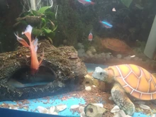 Aquarium Ornament Turtle-Decoration Polyresin Artificial-Fish-Tank 1pcs Supply Stylish