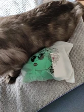 RUUHEE-Bikini Bandeau para mujer, traje de baño con volantes Sexy, conjunto de Bikini con Push-Up, bañador de leopardo brasileño para mujer 2021