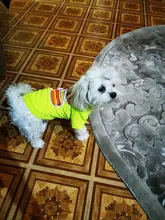 Ropa para Perro barata, adorable chaleco para Perro, camiseta para mascotas, disfraz para perros, Ropa de algodón para cachorros, trajes para perros pequeños