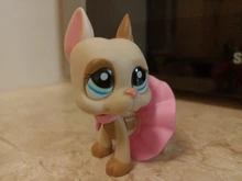 LPS gato raro tienda de mascotas de juguete lindo Perro Gran Danés perro collie perro spaniel perro niños juguete de colección con accesorios