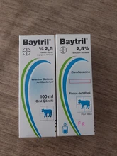 Bayer Baytril-solución Oral antibacteriana antimicrobiana para todos los animales, 2.5%, 100ml
