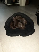 Alfombrilla semicerrada para perro, cojín de conejillo de indias, productos de animales para mascotas, antipilling, cama para cachorro, almohadilla Polar para dormir para gatos cachorros