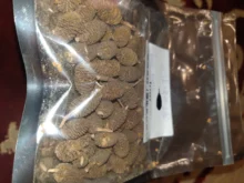 Conos de Alder que cambian el pH y el color del acuario