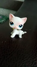 LPS-tienda de mascotas, Gato de juguete de serie, Gato Tigre, salchicha, perro pastor, juguete de acción, colección de pasatiempo, regalo
