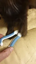 Cortador de uñas para perros profesional, Gato, tijeras para aseo de acero inoxidable, Tijeras para uñas con cierre