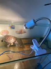 Lámpara de reptiles UVA UVB, Kit de soporte de bombilla con Clip, base de tortuga, juego de bombilla de calefacción UV, iluminación de luz de tortugas y lagartos