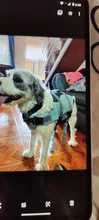 Vida de perro chaqueta Ripstop perro salvavidas tiburón chalecos con el rescate de mascota perro seguridad traje de baño para piscina playa de navegación