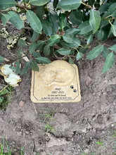 Personalizado recuerdo de gato piedras con un 3-D gato durmiendo en la parte superior de impresión de la pata al aire libre en el interior forGarden patio trasero marcadores de tumba