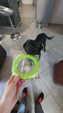 Portátil mordedores de juguete para perros discos voladores perro juguetes interactivos anillo de formación al aire libre para la pequeña mascota grande perro movimiento productos de herramientas