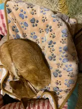 Mantas de cama de invierno para perro, manta polar cálida y suave al tacto de gran tamaño para perros, gatos y cachorros, productos para mascotas