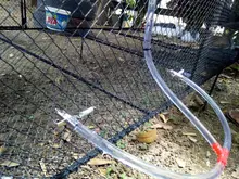 Tetina automática de conejo, alimentador de agua para roedores, bebedero para conejos, 5/10 Uds./15 Uds.